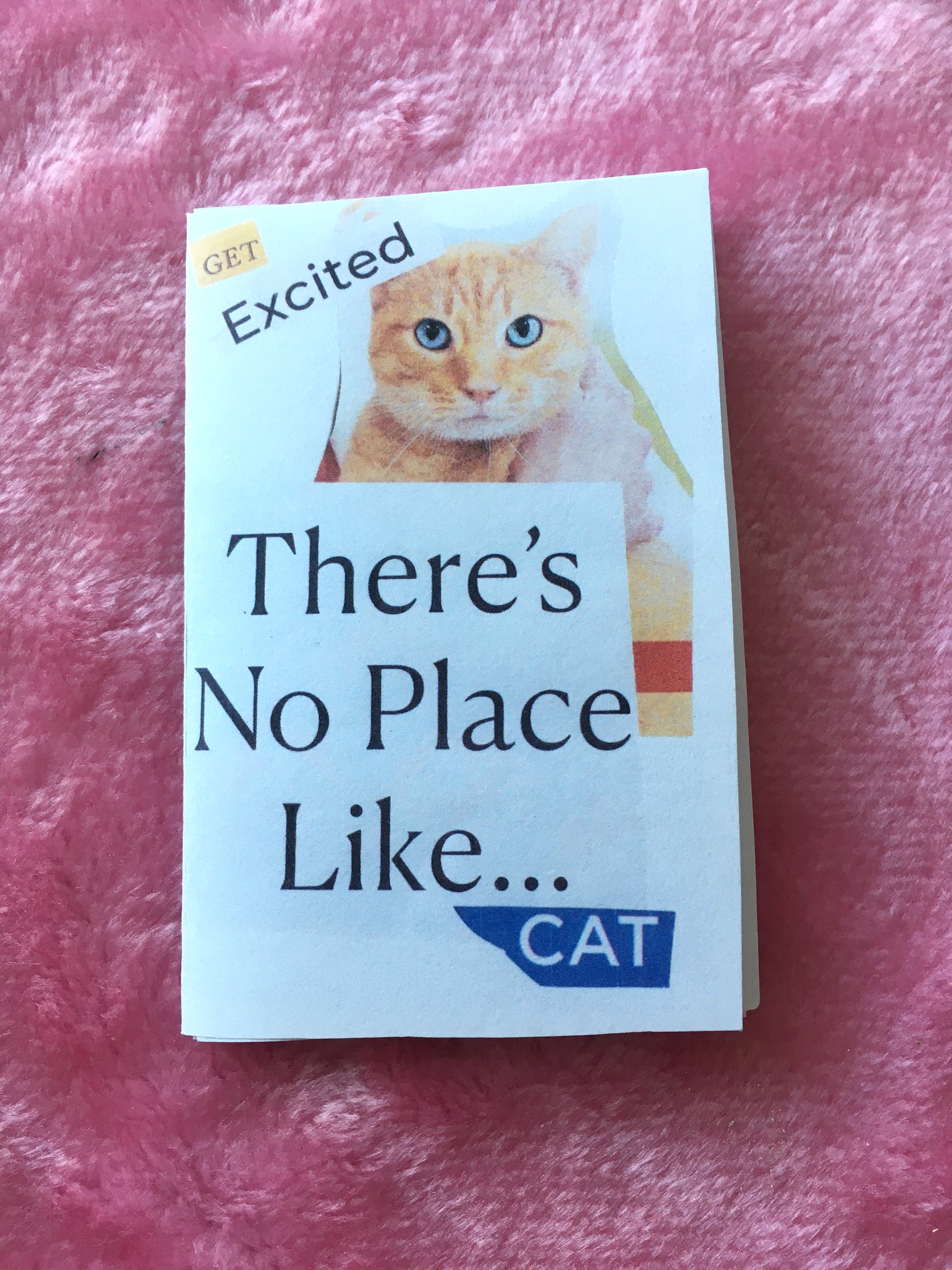 Theres no Place Like Cat